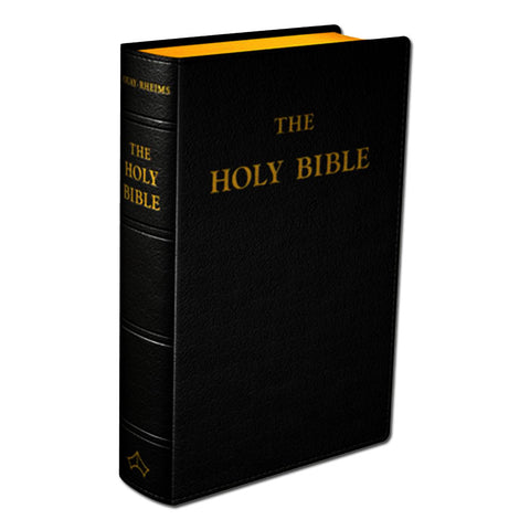 Bible: Large Print