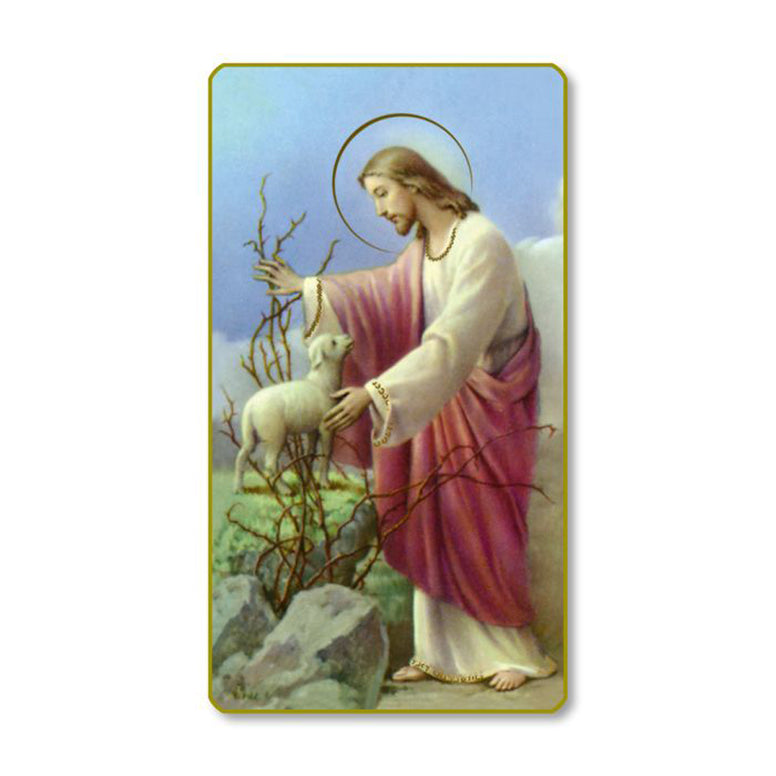 Good Shepherd