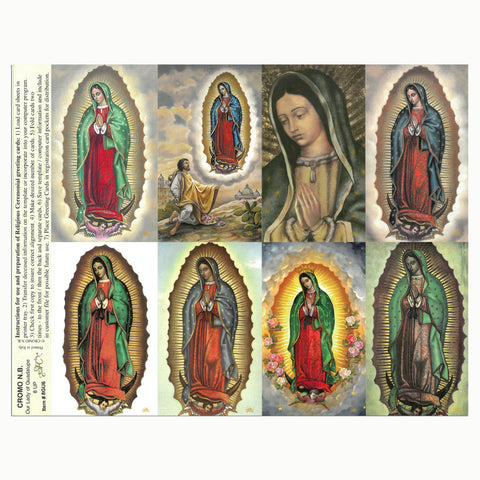 Our Lady of Guadalupe Assortment