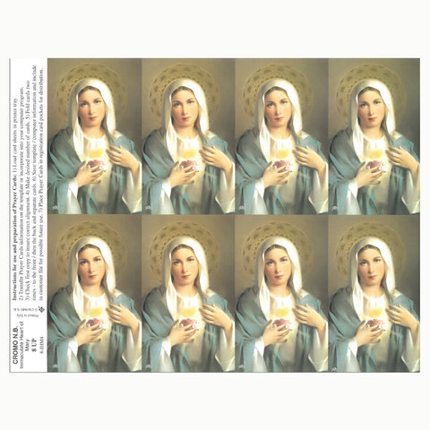 Immaculate Heart of Mary Style 4