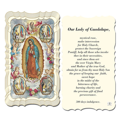 Visions of Guadalupe Holy Card