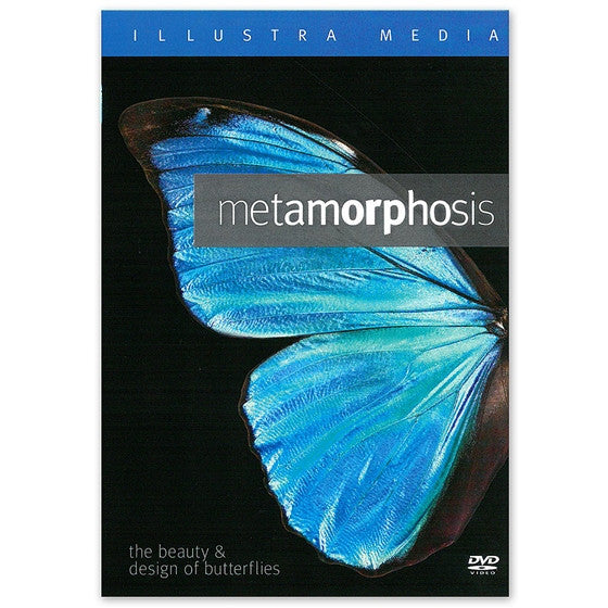 Metamorphosis: Beauty & Design of Butterflies