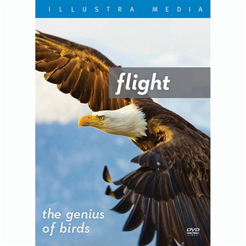 Flight: The Genius of Birds