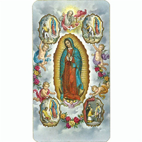 Vision of Our Lady of Guadalupe Holy Card